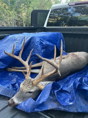 Gary Kubenka's buck