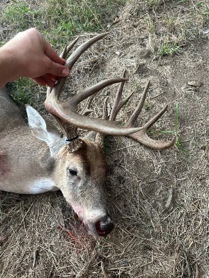 Logan Jenke's buck